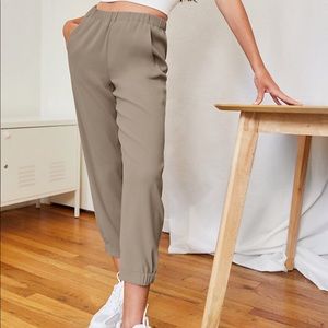 Aritzia Babaton Dexter Pants